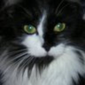 Meet your Posher, Pamela